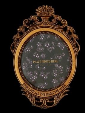 Taylor Swift Speak Now Picture Frame